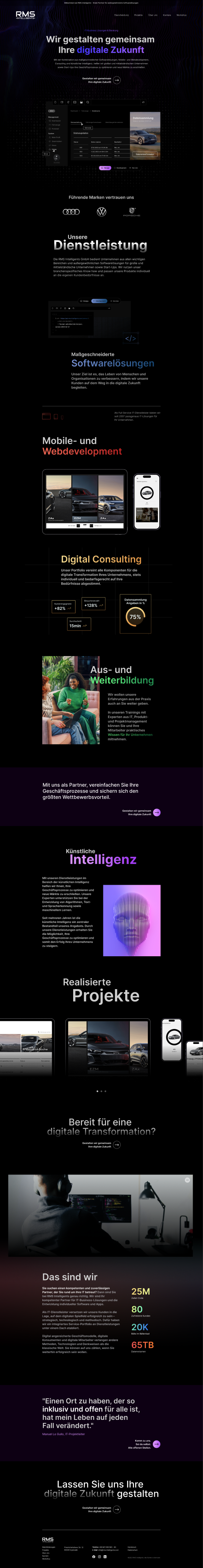 Website-Design für RMS Intelligents